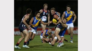Gallery: VFL-Williamstown v Casey Scorpions