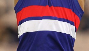 Paul Dimattina to challenge for Bulldogs presidency