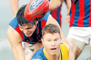 VFL: Good vibes back as gutsy Gulls triumph