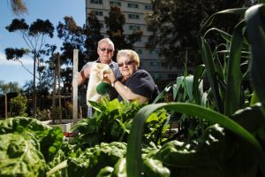 Patch of plenty at Floyd Lodge community garden