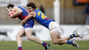VFL: Williamstown storms into preliminary final
