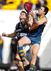 VFL: Confident Gulls brush past Blues to secure finals berth