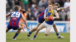 Gallery: VFL-Williamstown v Port Melbourne, semi-final