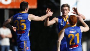VFL: Tardy Gulls now face bigger challenge