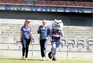 Lap-Dogs to fore in Whitten Oval Relay For Life 