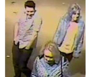 Williamstown assault: Public help sought to nab offenders