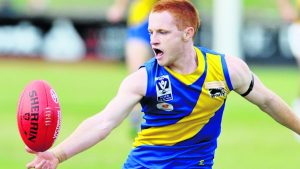 VFL: Seagull Anthony Anastasio runs hot in tough tests