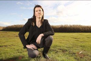 Rates cap will ‘hamstring local government’