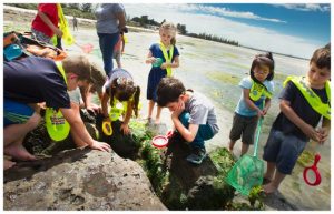 Council vote on kindergartens’ fate delayed till March