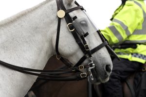 Bid for police protest secrets fails