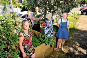 Council rejects planter boxes despite trial success
