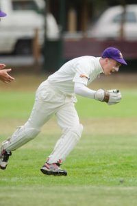 Home sweet home for Druids