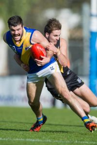 New Seagulls impress in VFL preseason