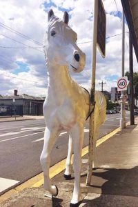 Chester the Paint Spot horse stolen