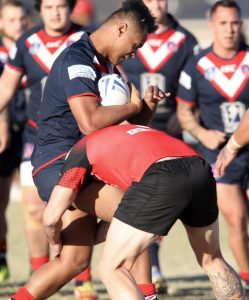 Altona Roosters put up a cricket score