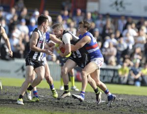 Photos: VFL Footscray v Collingwood 17-09-2016