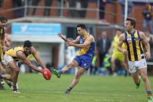 Photos: VFL Williamstown v Sandringham 10-09-2016