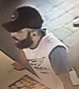 Altona Meadows Boxing Day thief sought