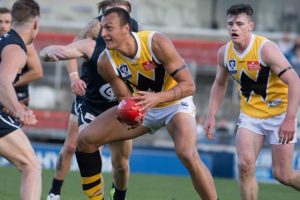 Werribee Tigers reach for the top shelf