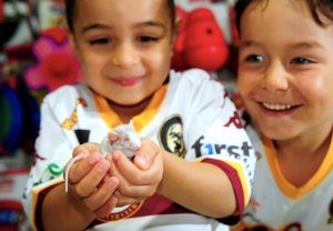 Altona’s great mouse race