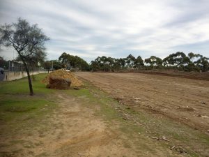 More trees to be cleared for West Gate Tunnel