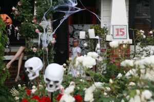 Spooky night across the west as Halloween takes fright