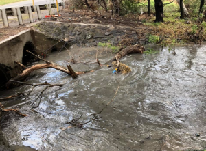 Heavy rains hamper Stony Creek clean-up