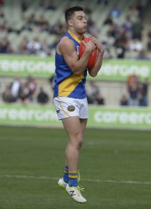 Williamstown star thrown an AFL lifeline