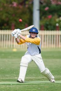 Local rivals to play off in Cricket Willow final