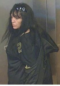 Suitcase stolen from train at Footscray station