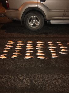 Fishy behaviour nets $3k in fines