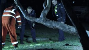 Multiple shots fired into Maidstone home