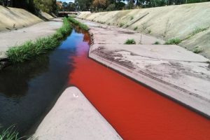 Brooklyn chemical company revealed as culprit behind blood red Stony Creek