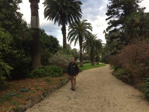 Williamstown wallaby on the hop