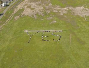 Maribyrnong Swifts slam ditching from Footscray Park advisory panel