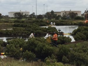 Boral ordered to clean up Williamstown oil spill