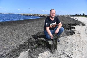 Staff stand-off fuels seaweed stench