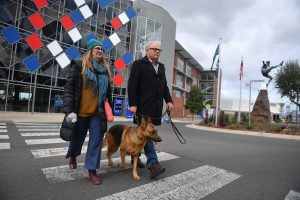 Call to open Whitten Oval