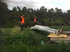 Sculpture damaged by vandals