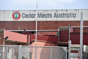 Cedar Meats cluster grows