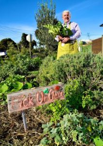 Nature strip garden gongs