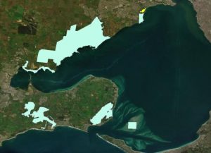 Hobsons Bay wetlands up for world listing