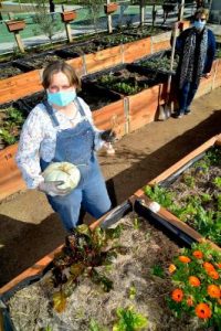 Gardens help community flourish