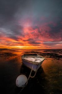 Turn the pages to a year of gratitude