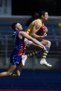 Ford studies the best