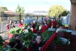 Planting the seeds of growth