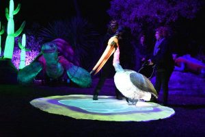 Galapagos puppets set to delight