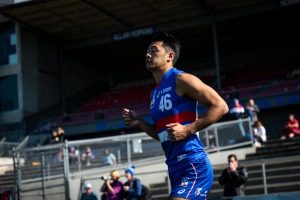 Western Bulldogs granted permit