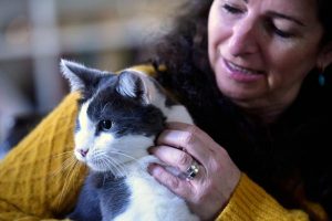 Mooncake the cat’s great train rescue