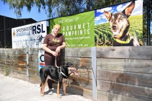 Spotswood tourism operator fears collapse